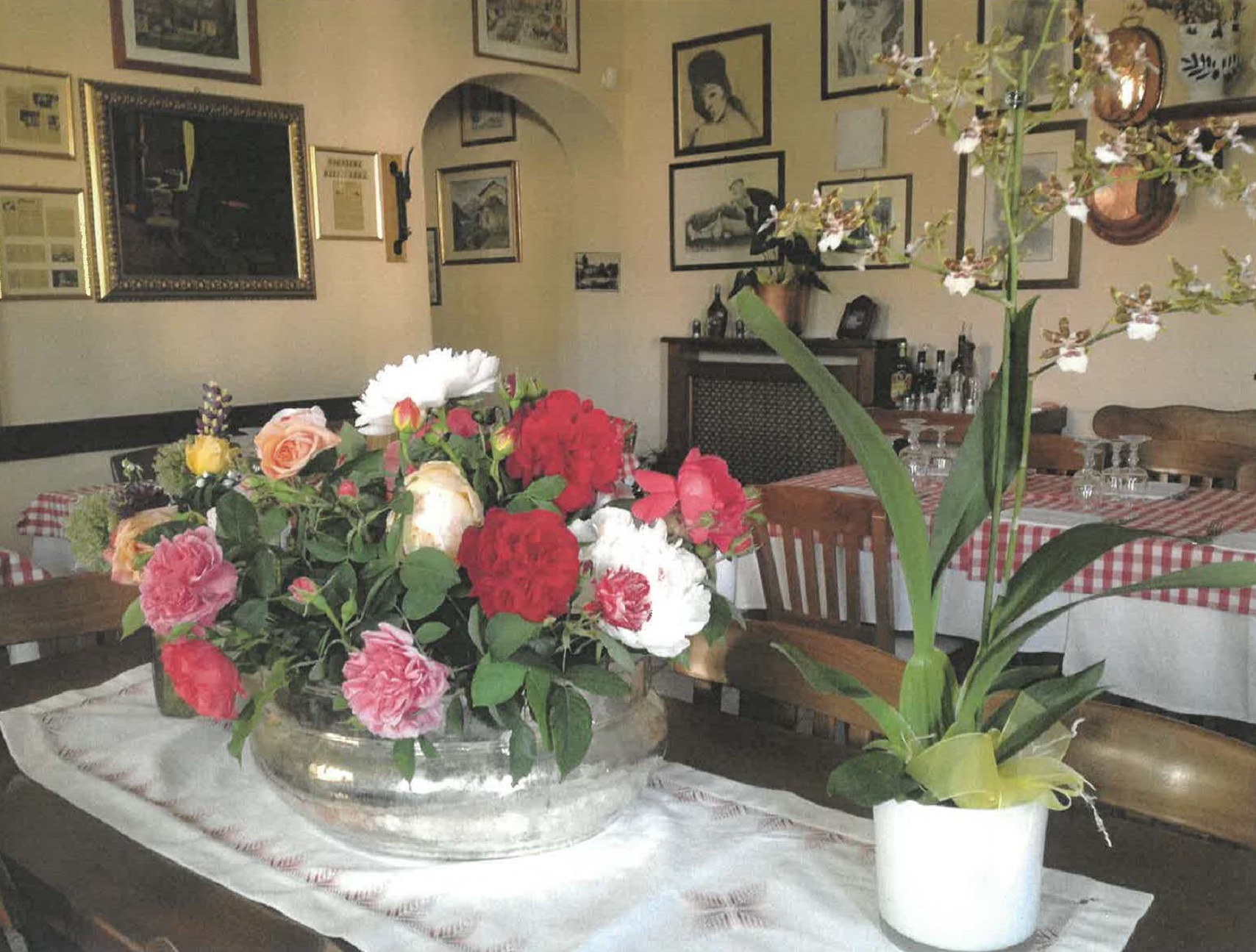 TRATTORIA DEL GRIFO