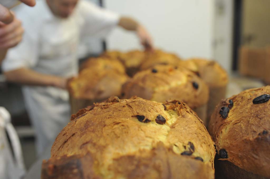PASTICCERIA BESUSCHIO