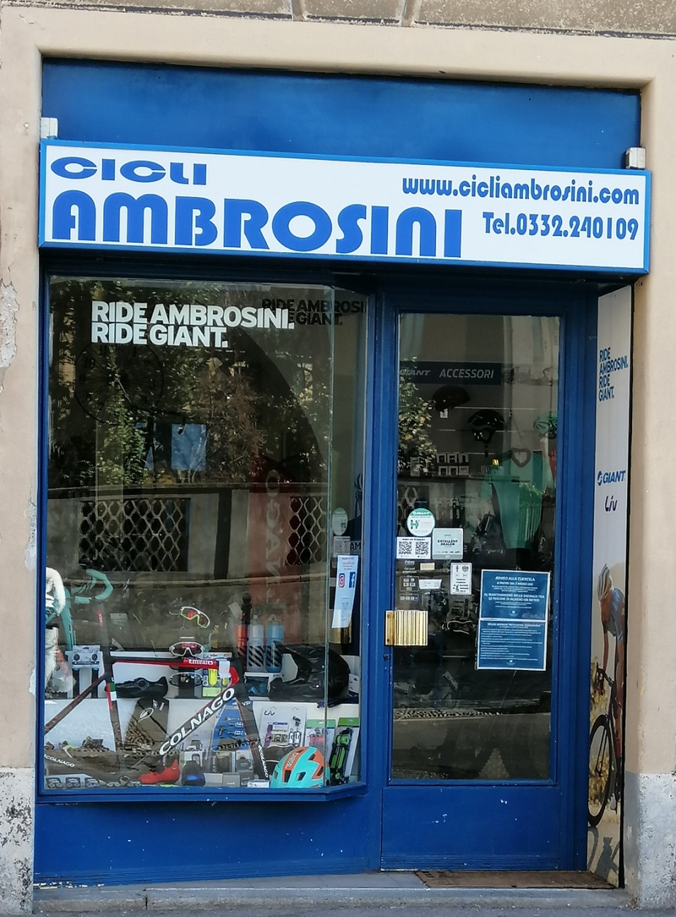 Ambrosini